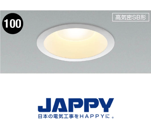 S形ダウンライト