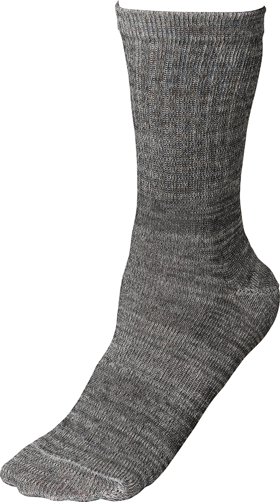 JAPPY ヒミツの靴下 ＪＳＳ－２５２７Ａ－２ＰＧ（グレー）