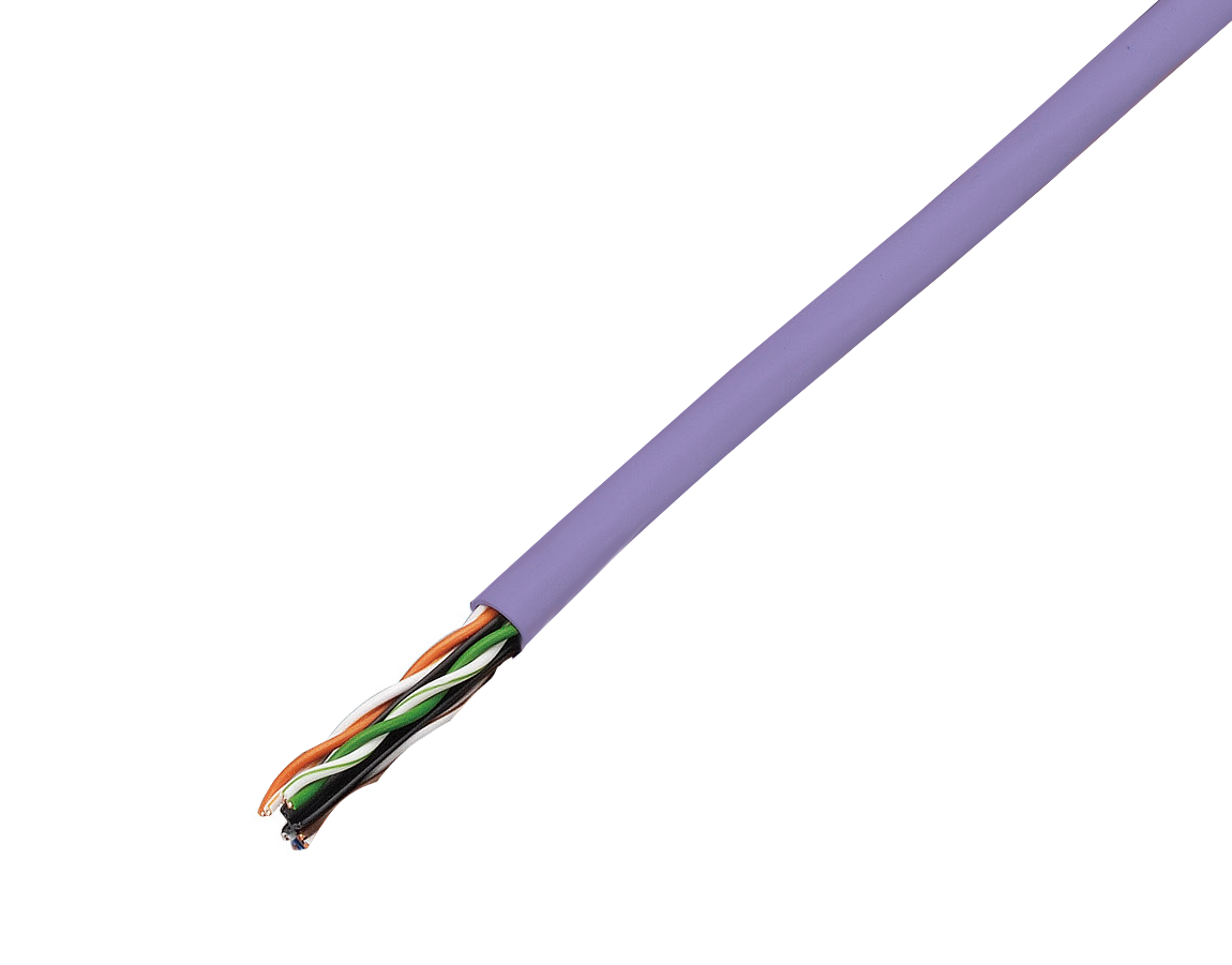 JAPPY Ｃａｔ．６　ＬＡＮケーブル ＴＰＣＣ６　０．５ｍｍ×４Ｐ　紫ＪＰ